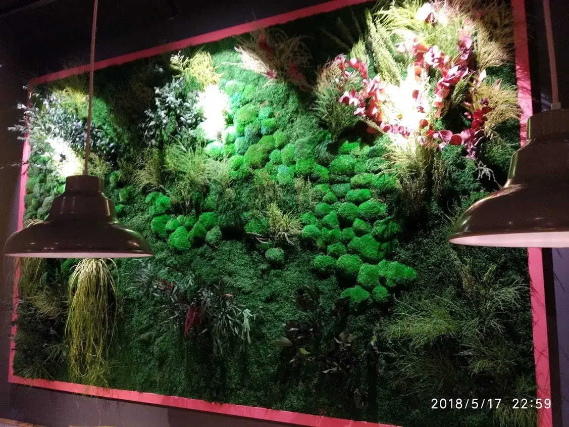 Zielona ściana z mchu stabilizowanego w restauracji w galerii handlowej we Wrocławiu