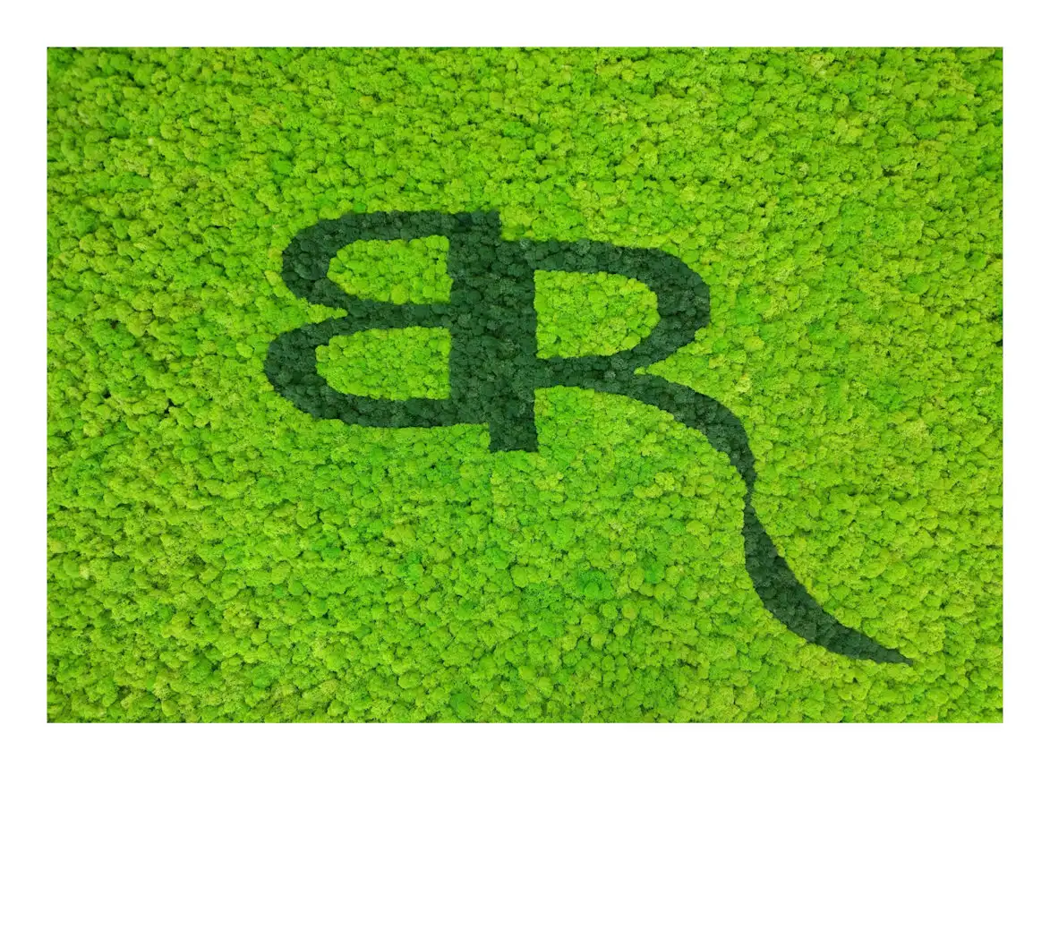 Wielkoformatowy logotyp  NCBiR
