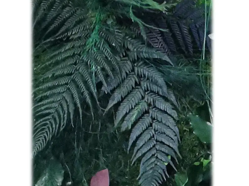 Paproć stabilizowana w zielonej ścianie o lekkiej, naturalnej strukturze liści - realizacja Mossarte